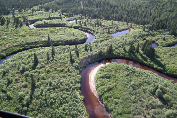 Protecting Northern Peatlands: A vital cost-effective approach to curbing Canada’s climate impact