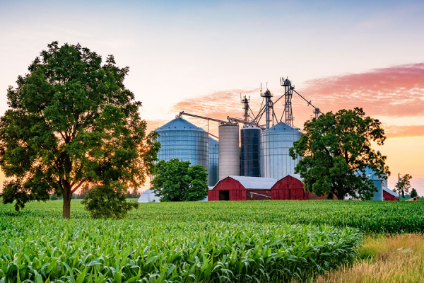 Sustainable Agriculture and Agri-food Systems