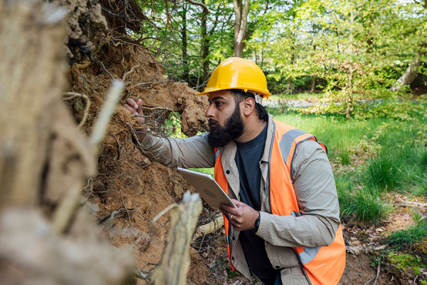 Unlocking the Economic Power of Natural Climate Solutions