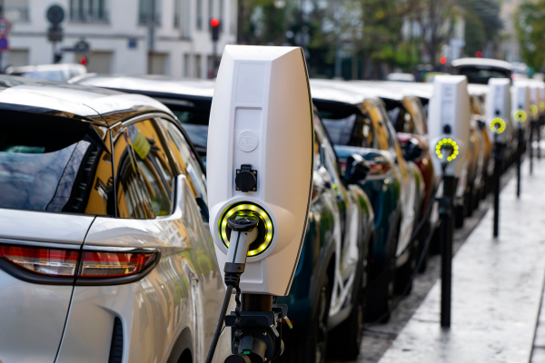 Governing through electric vehicle uncertainty