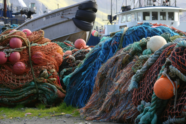 Student Blog: Arctic Fisheries - The Last Wild Roundup 