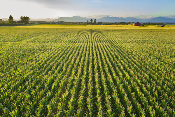 Can the Sustainable Canadian Agricultural Partnership transform Canada’s agriculture sector?