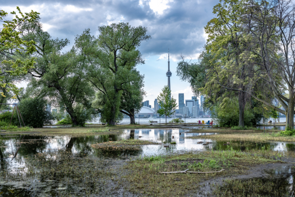 Flood-proofing our future