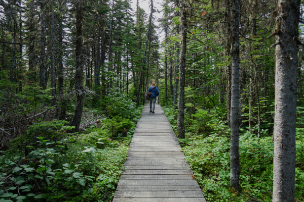New career opportunities with our partners at Forest Futures Canada