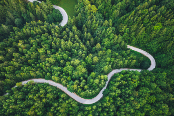 Guest blog: New environmental policy research for uncertain times