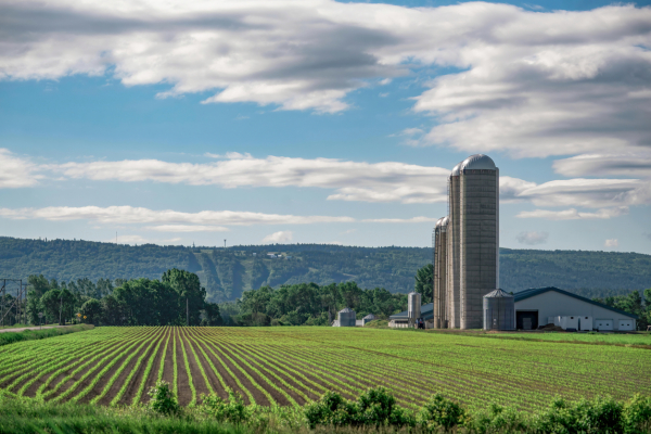 Submission to Agriculture and Agri-Food Canada's Consultation on the Next Policy Framework