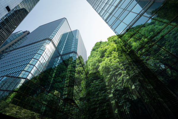 Webinar: New frontiers in Canadian sustainable finance
