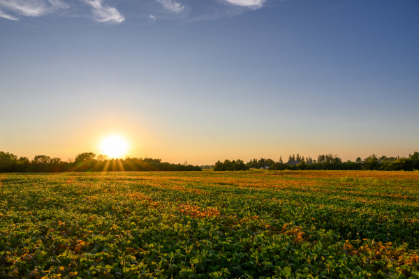 Expanding proactive risk management tools for Canadian agriculture 