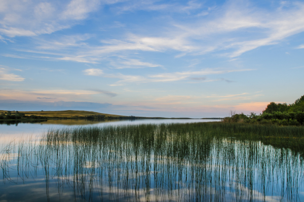 Guest Blog: Does a wetland certification program make sense for the prairies? 