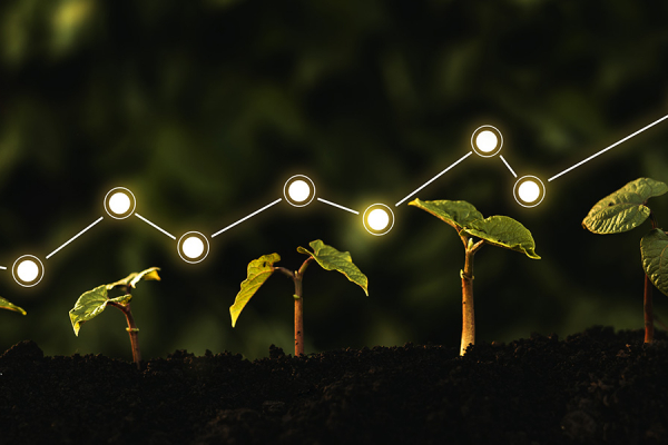 Bridging the Finance Gap