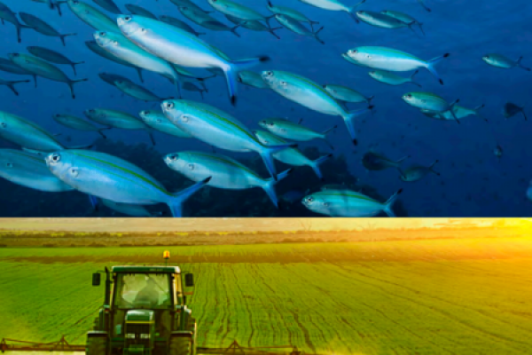 Natural Capital & Productivity