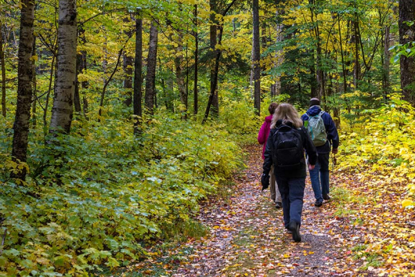 Nature-based Solutions